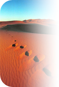 Desert picture